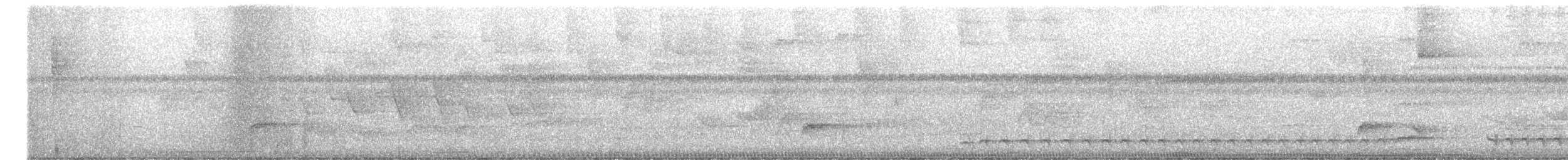 ニシハイイロアリモズ - ML644437384