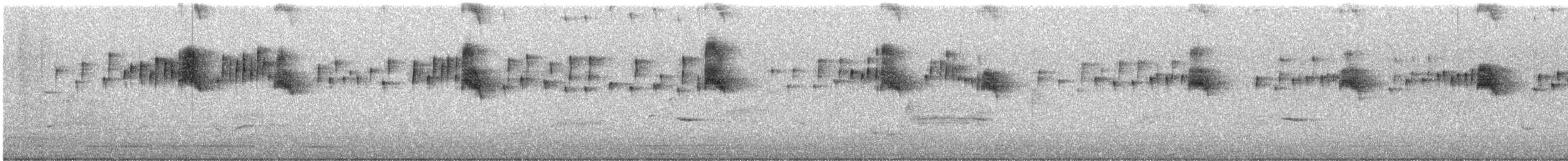 Tirano Oriental - ML644437607