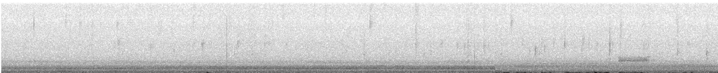 Effraie d'Amérique - ML644437609