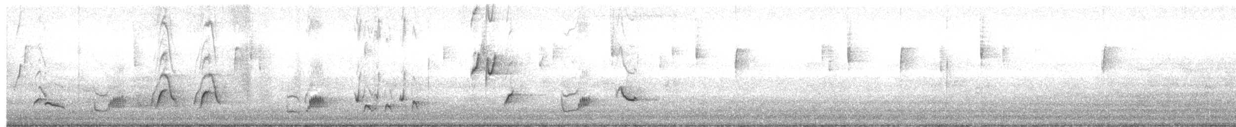 Curve-billed Thrasher - ML644437754