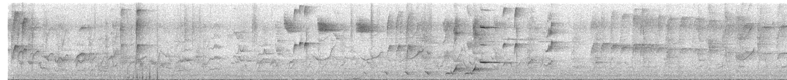 Swift Parrot - ML644438295