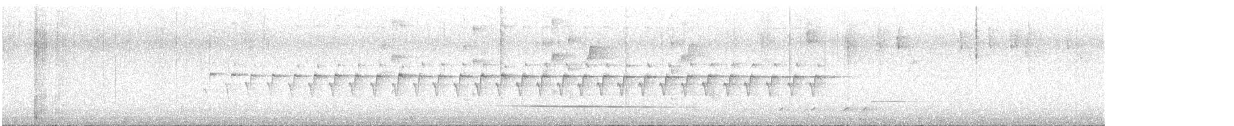 Тасманийская кустовка - ML644438772