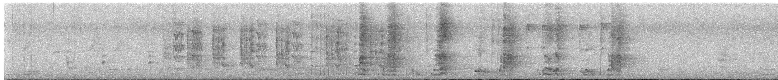 Little Wattlebird - ML644438851