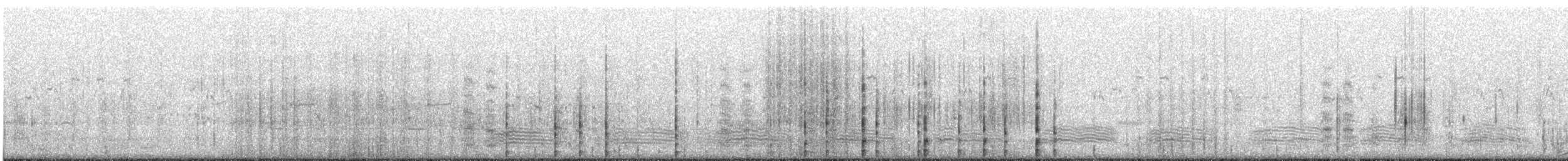 Little Black Cormorant - ML644439530