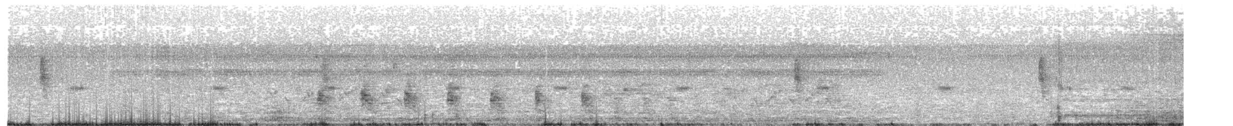 King Rail - ML644439672