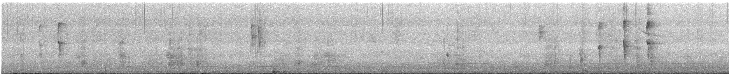 Merle de Chine - ML644439799