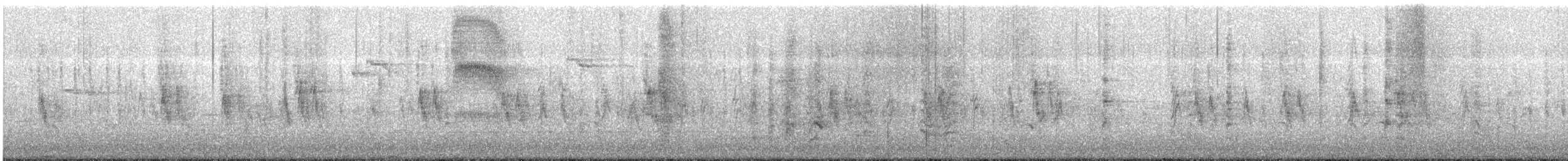 strakapoud východní - ML644439857