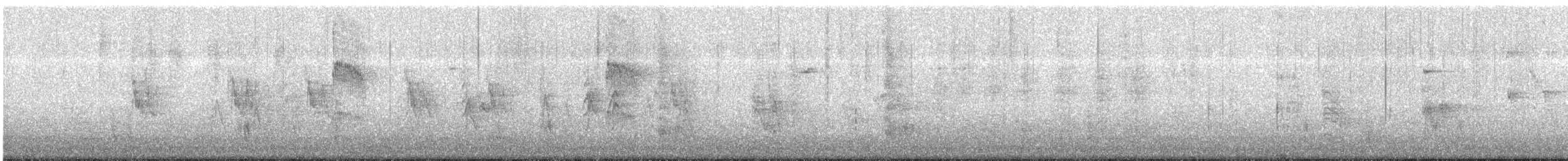 strakapoud východní - ML644439887