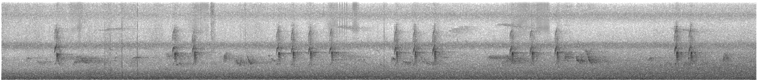 Couturière à longue queue - ML644440194