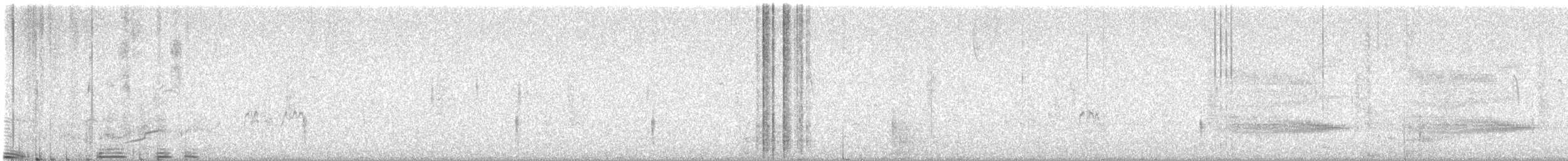 Groove-billed Ani - ML644440349