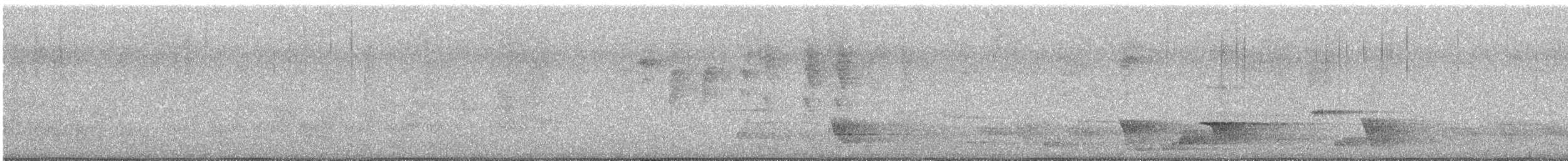 Superb Lyrebird - ML644440604