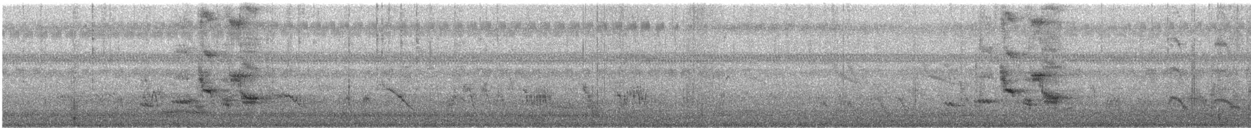 Étourneau à cou noir - ML644440658