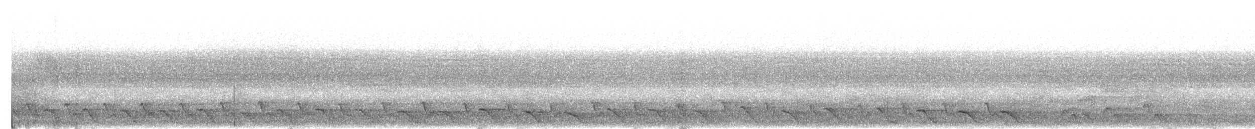 Méliphage de Viti Levu - ML644440835