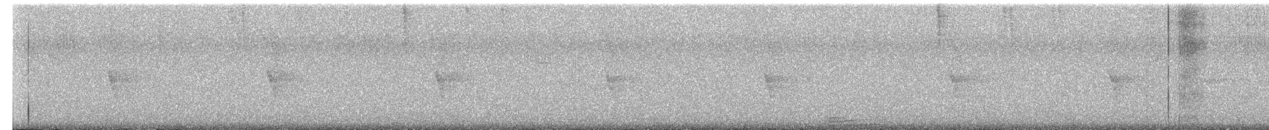 Weißaugen-Honigfresser - ML644440846