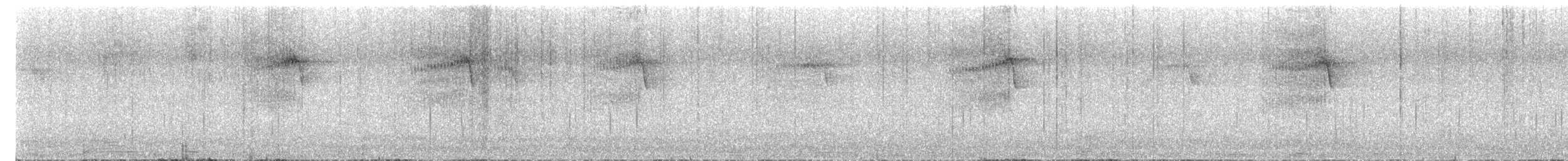 Tasmanian Boobook - ML644440983