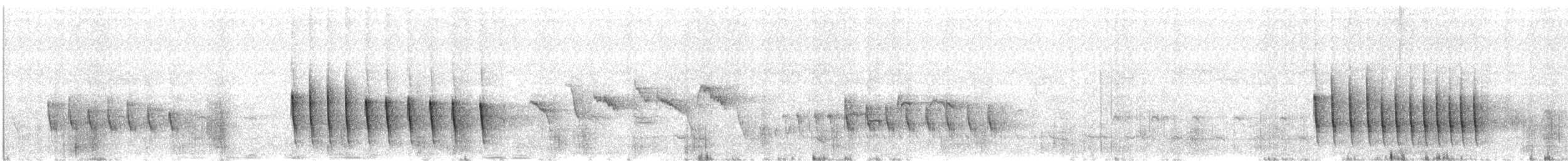 Gray-eared Honeyeater - ML644441467