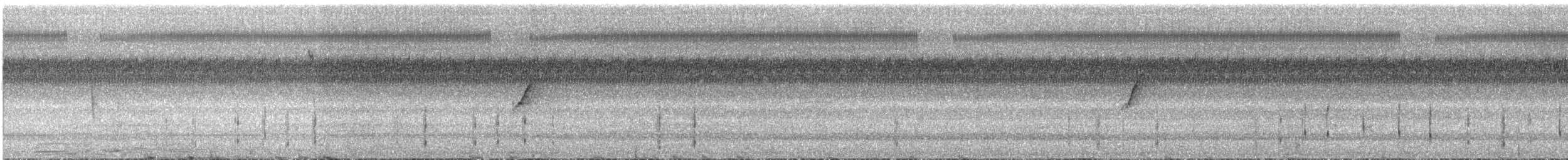 Gray's Grasshopper Warbler - ML644441525