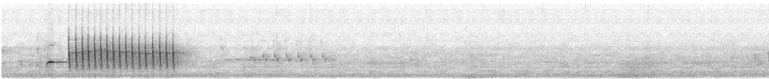 Gray-eared Honeyeater - ML644441559