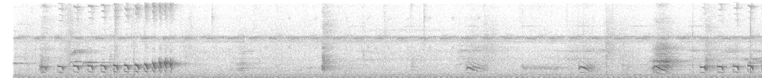 Bolivian Slaty-Antshrike - ML644441597