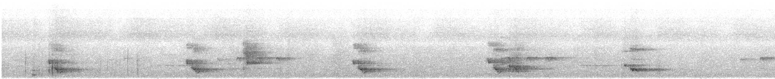 Méliphage toulou - ML644441607