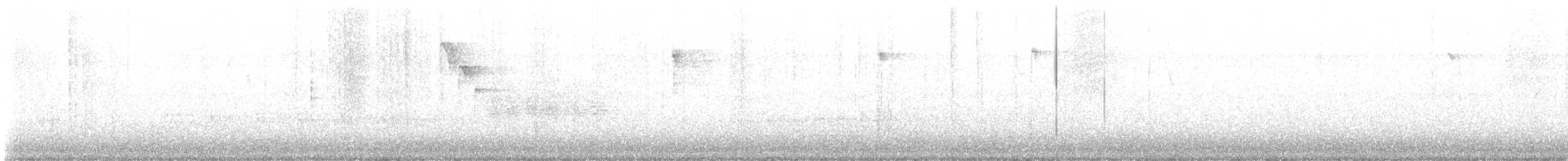 シマセゲラ - ML644441932