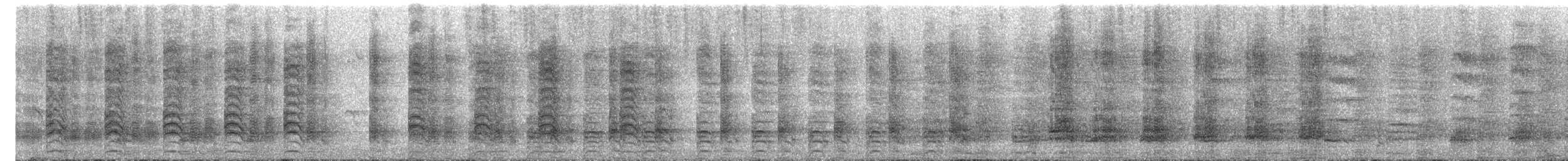 Tasmanian Nativehen - ML644442304
