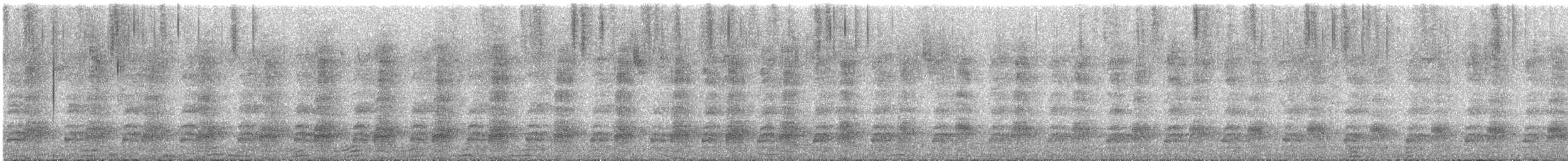 Tasmanian Nativehen - ML644442305