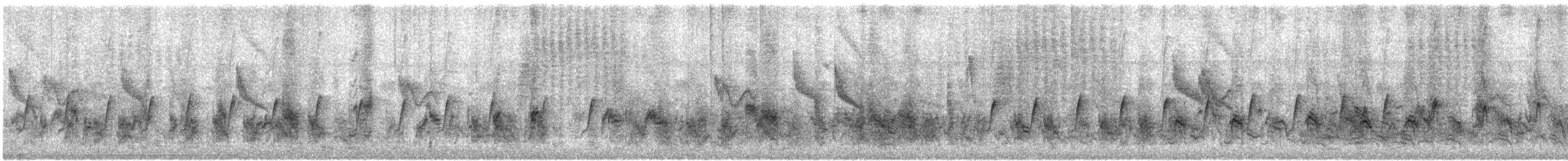 Light-vented Bulbul (sinensis) - ML644442434