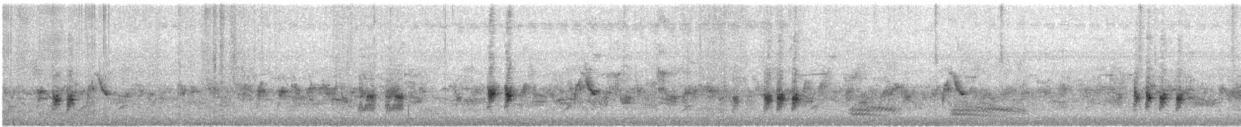 Light-vented Bulbul (sinensis) - ML644442439