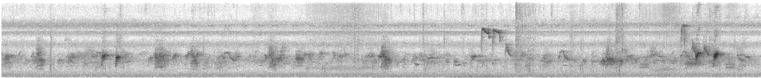 Light-vented Bulbul (sinensis) - ML644442441