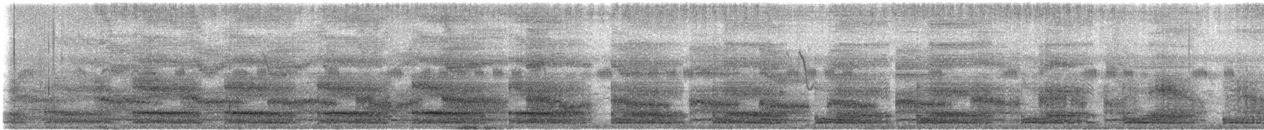 White-breasted Waterhen - ML644442520