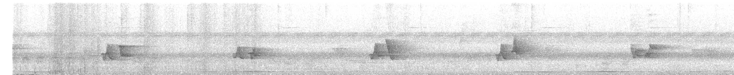 Dull-capped Attila - ML644442558