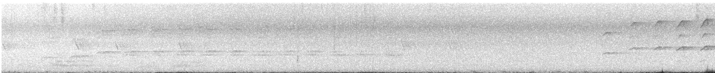 Autour blanc - ML644443030