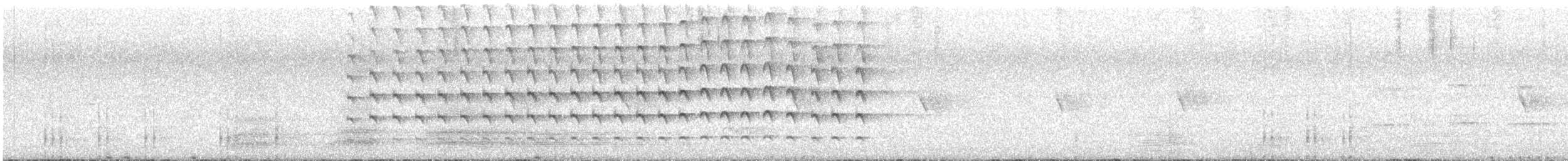 Autour australien - ML644443031