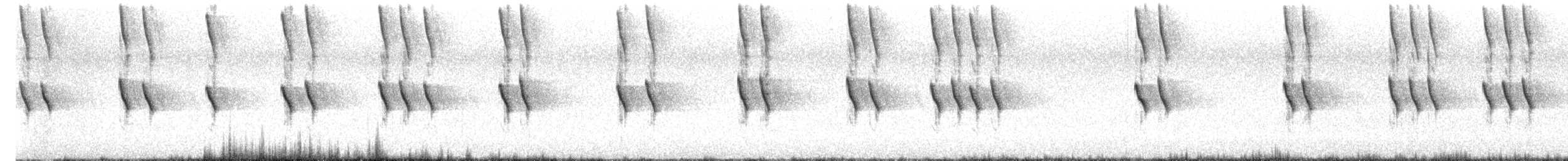 Weißaugen-Honigfresser - ML644443045