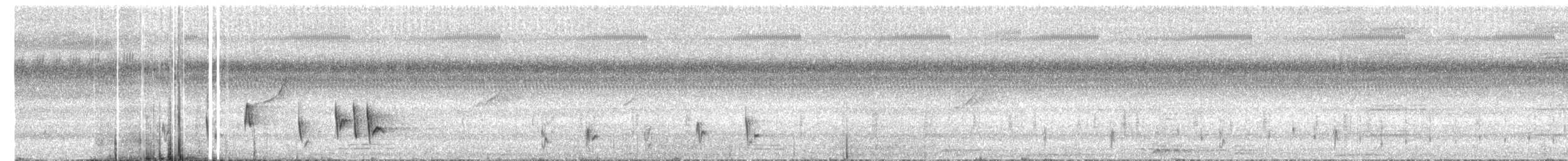 Gray's Grasshopper Warbler - ML644443121