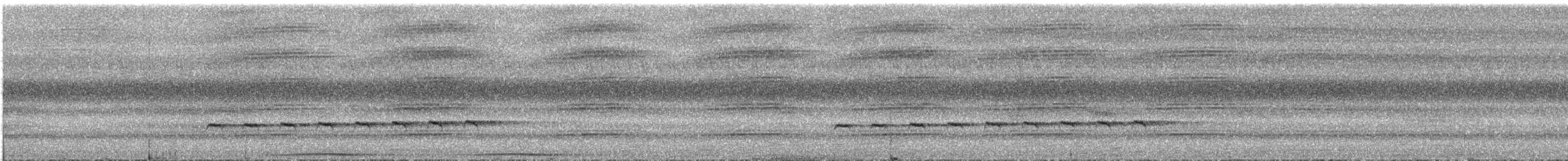 Sulawesi Brush Cuckoo - ML644443238