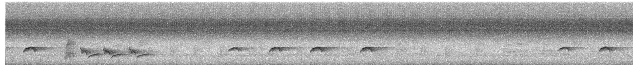 Sulawesi Brush Cuckoo - ML644444096