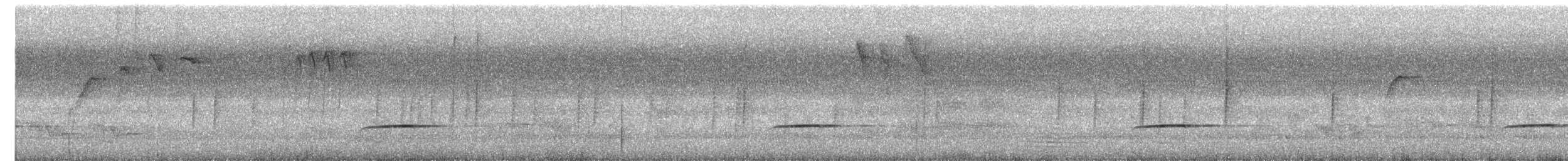 Sulawesi Brush Cuckoo - ML644444098