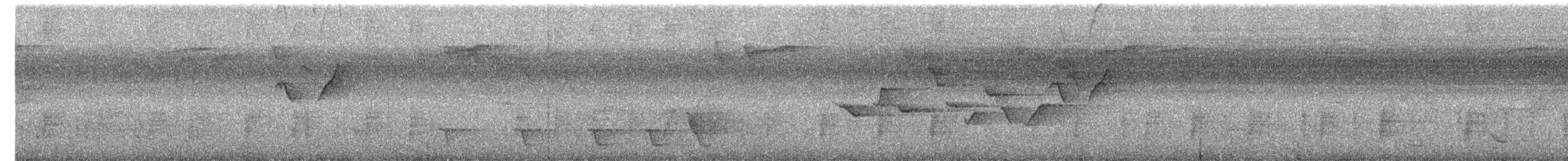 Black-crowned White-eye - ML644444132