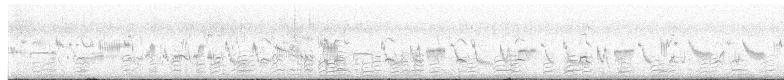 オーストラリアセイタカシギ - ML644444261