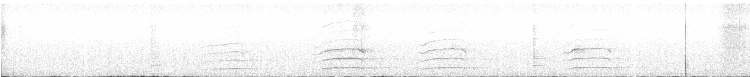 Northern Saw-whet Owl - ML644444262