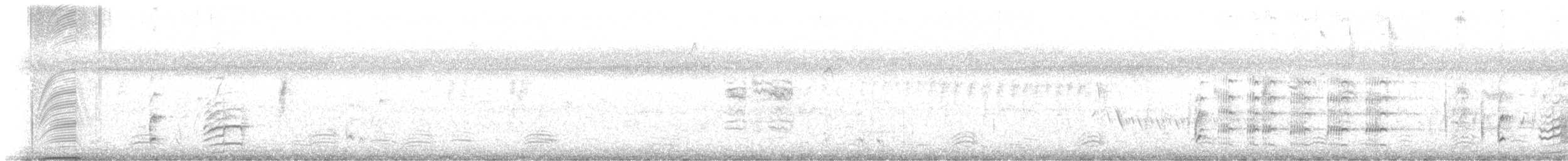 Lewin's Rail - ML644444263