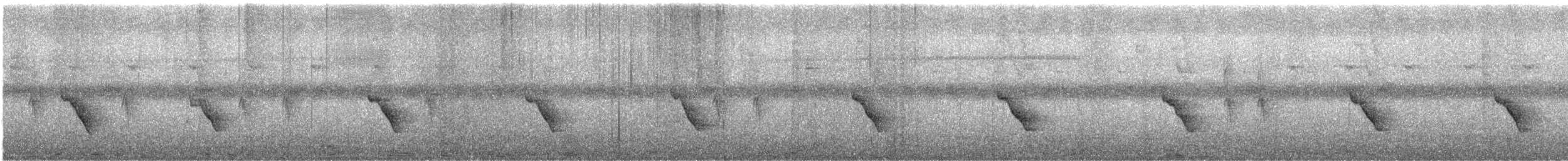 Couturière à longue queue - ML644444493