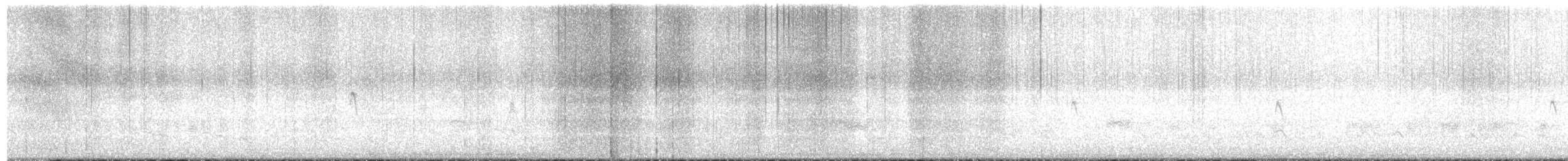 Black Phoebe - ML644444657