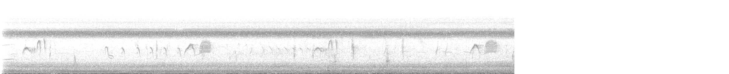 Weißbauch-Phoebetyrann - ML644444732