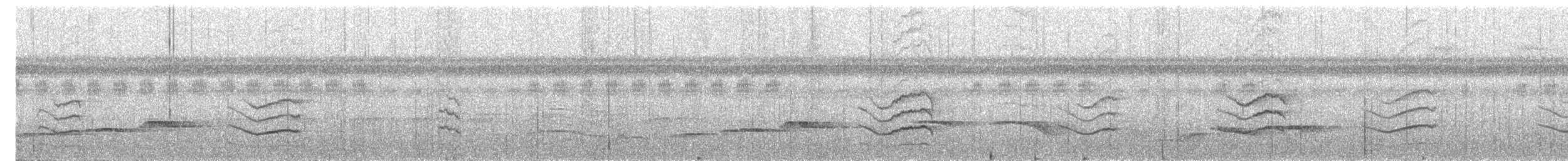 Sulawesi Babbler - ML644445295