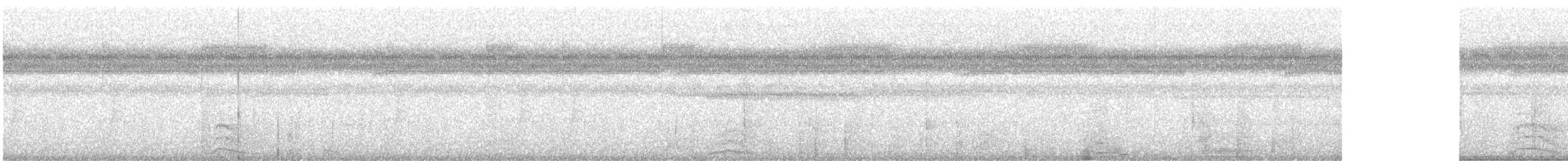 Elegant Pitta - ML644445332