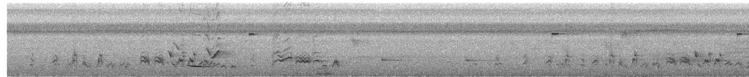 Sulawesi Babbler - ML644445491