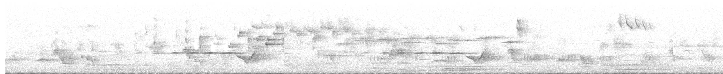 Gelbbauch-Dickkopf [pectoralis-Gruppe] - ML644445578